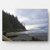 Plaque Photo Oswald West State Park, Oregon Coast (Devant)