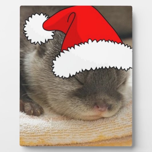 Plaque Photo Otter de Noël (Devant)