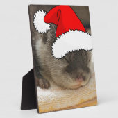 Plaque Photo Otter de Noël (Côté)