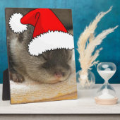 Plaque Photo Otter de Noël (Côté)