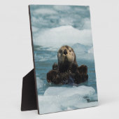 Plaque Photo Otter flottante (Côté)
