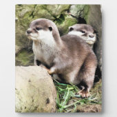 PLAQUE PHOTO OTTERS (Devant)