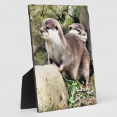 PLAQUE PHOTO OTTERS (Côté)