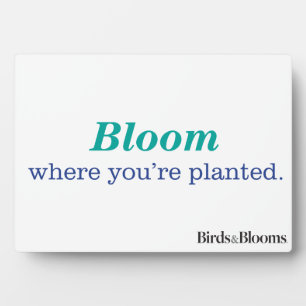 Plaque Photo Où vous êtes planté