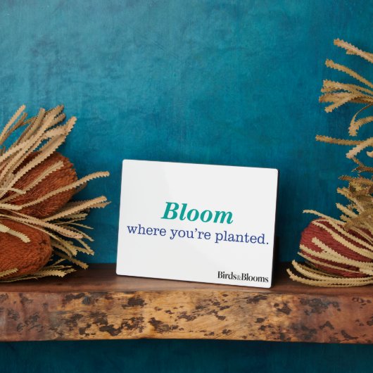 Plaque Photo Où vous êtes planté (Côté)