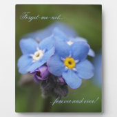 Plaque Photo Oublie-moi-pas pour toujours et jamais ! (Devant)