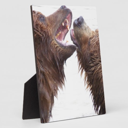 Plaque Photo Ours Brown (Côté)