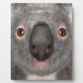 Plaque Photo Ours koala (Devant)