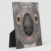 Plaque Photo Ours koala (Côté)