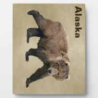 Ours Kodiak Sur Papier Ancien