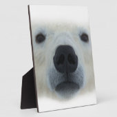 Plaque Photo Ours polaire (Côté)