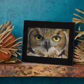 Plaque Photo Owl Eyes (Côté)