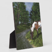 Plaque Photo Paint Horse by Forest Stream (Côté)