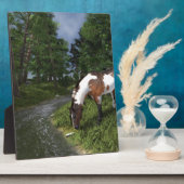 Plaque Photo Paint Horse by Forest Stream (Côté)