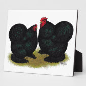 Plaque Photo Paire de Cochins Black Bantam (Côté)