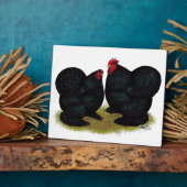 Plaque Photo Paire de Cochins Black Bantam (Côté)
