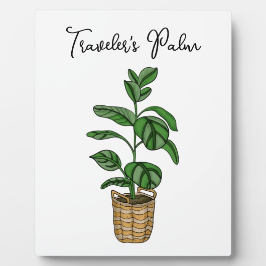 Plaque Photo Palme de voyageur tiré à la main (Devant)