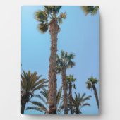 Plaque Photo Palmiers d'été (Devant)
