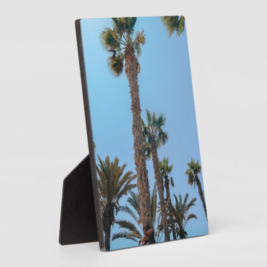Plaque Photo Palmiers d'été (Côté)