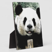 Plaque Photo Panda (Côté)