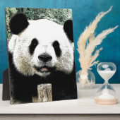 Plaque Photo Panda (Côté)