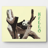 Panda géant dans un zoo d'animaux sauvages photogr