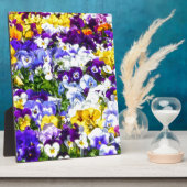 Plaque Photo Pansies (Côté)