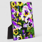 Plaque Photo pansy flowers (Côté)