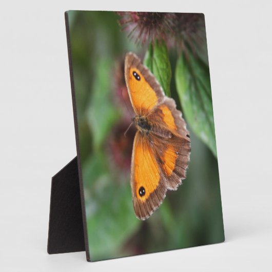 Plaque Photo Papillon (Côté)