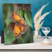 Plaque Photo Papillon (Côté)