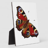 Plaque Photo Papillon (Côté)