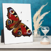 Plaque Photo Papillon (Côté)