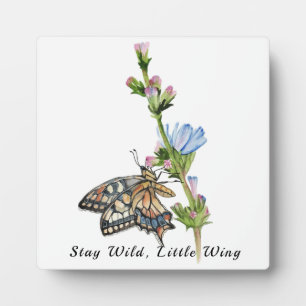 Plaque Photo Papillon aquarelle sur une fleur chicorée