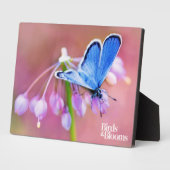 Plaque Photo Papillon Azure (Côté)