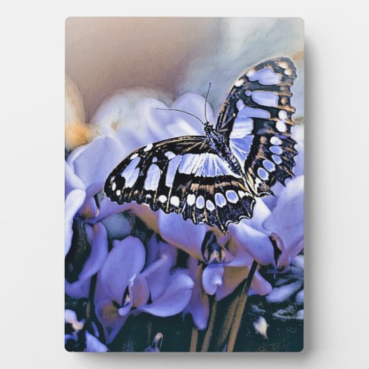 Plaque Photo Papillon bleu (Devant)