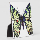 Plaque Photo papillon coloré (Côté)