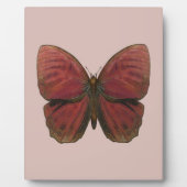 Plaque Photo Papillon Coq Rouge (Devant)