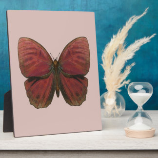 Plaque Photo Papillon Coq Rouge