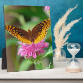 Plaque Photo Papillon de contrôle argenté (Côté)