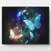 Plaque Photo Papillon de nuit (Devant)