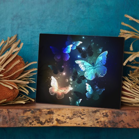 Plaque Photo Papillon de nuit (Côté)