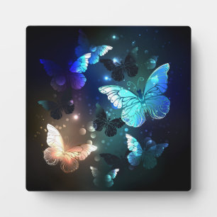 Plaque Photo Papillon de nuit