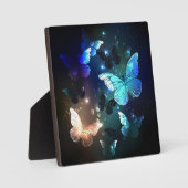 Plaque Photo Papillon de nuit (Recto)