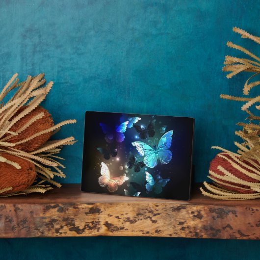 Plaque Photo Papillon de nuit (Côté)