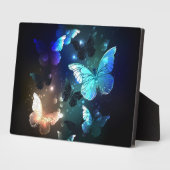 Plaque Photo Papillon de nuit (Côté)