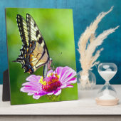 Plaque Photo Papillon de queue de tigre (Côté)