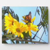 Plaque Photo Papillon et tournesol (Devant)