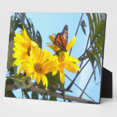 Plaque Photo Papillon et tournesol (Côté)