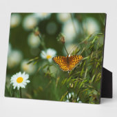 Plaque Photo Papillon Fritillaire du Pacifique (Côté)