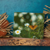 Plaque Photo Papillon Fritillaire du Pacifique (Côté)